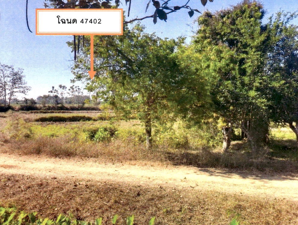 ขายทอดตลาด ที่ดินว่างเปล่า จ.แพร่
