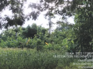 รูปทรัพย์ 1