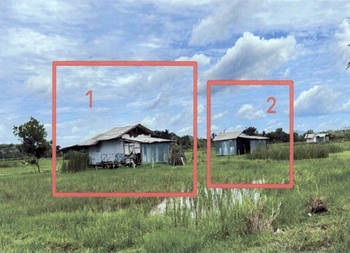 ขายทอดตลาด ที่ดินพร้อมสิ่งปลูกสร้าง ต.เนินงาม อ.รามัน จ.ยะลา