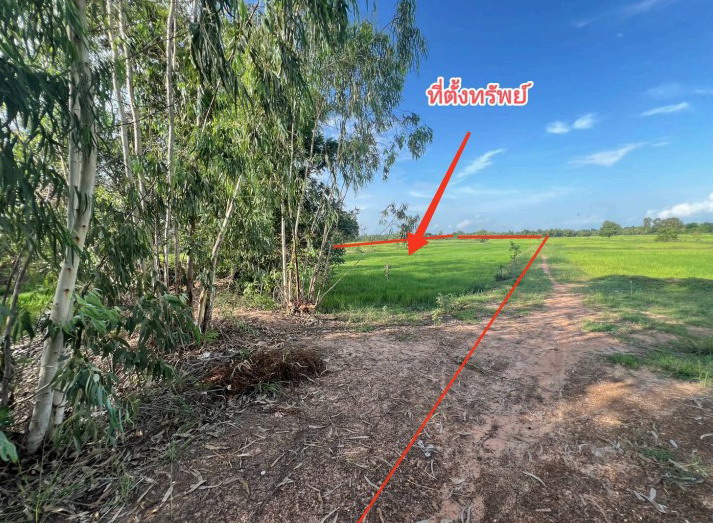 ขายทอดตลาด ที่ดินว่างเปล่า ต.วัดธาตุ อ.เมืองหนองคาย จ.หนองคาย