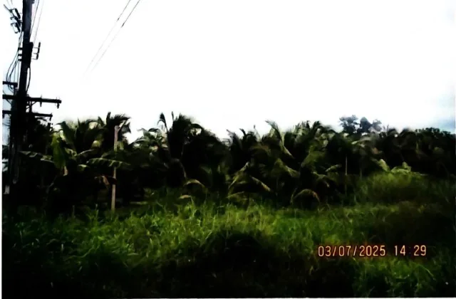 ขายทอดตลาด ที่ดินว่างเปล่า ต.เกวียนหัก อ.ขลุง จ.จันทบุรี