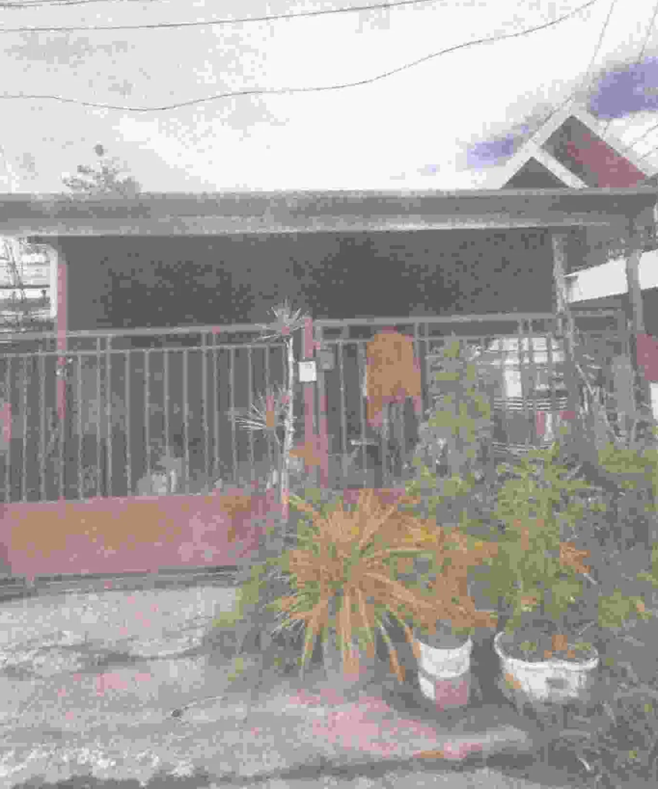ขายทอดตลาด ที่ดินพร้อมสิ่งปลูกสร้าง ต.วิชิต อ.เมืองภูเก็ต จ.ภูเก็ต