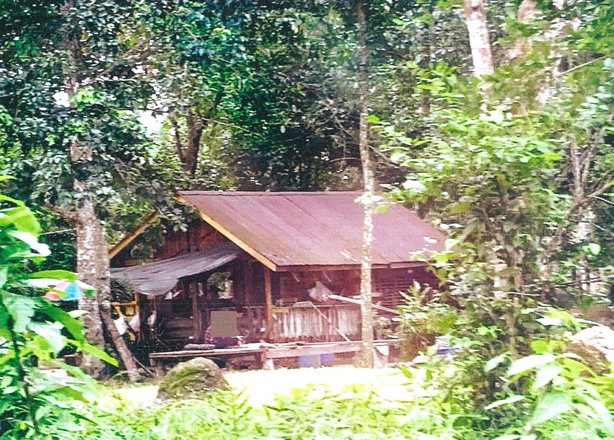 ขายทอดตลาด ที่ดินพร้อมสิ่งปลูกสร้าง ต.ป่าคลอก อ.ถลาง จ.ภูเก็ต