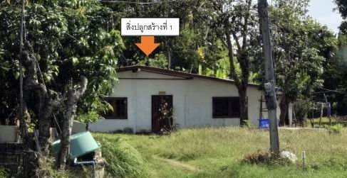 ขายทอดตลาด ที่ดินพร้อมสิ่งปลูกสร้าง ต.โคกสะอาด อ.ฆ้องชัย จ.กาฬสินธุ์