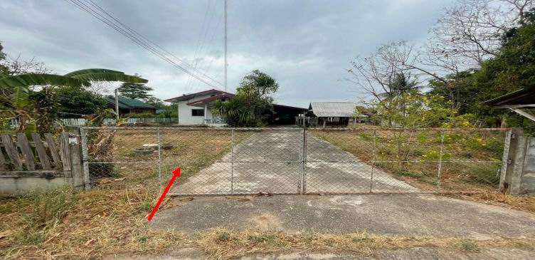 ขายทอดตลาด ที่ดินพร้อมสิ่งปลูกสร้าง ต.แจนแลน อ.กุฉินารายณ์ จ.กาฬสินธุ์