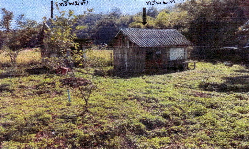 ขายทอดตลาด ที่ดินพร้อมสิ่งปลูกสร้าง ต.แม่ป้าก อ.วังชิ้น จ.แพร่