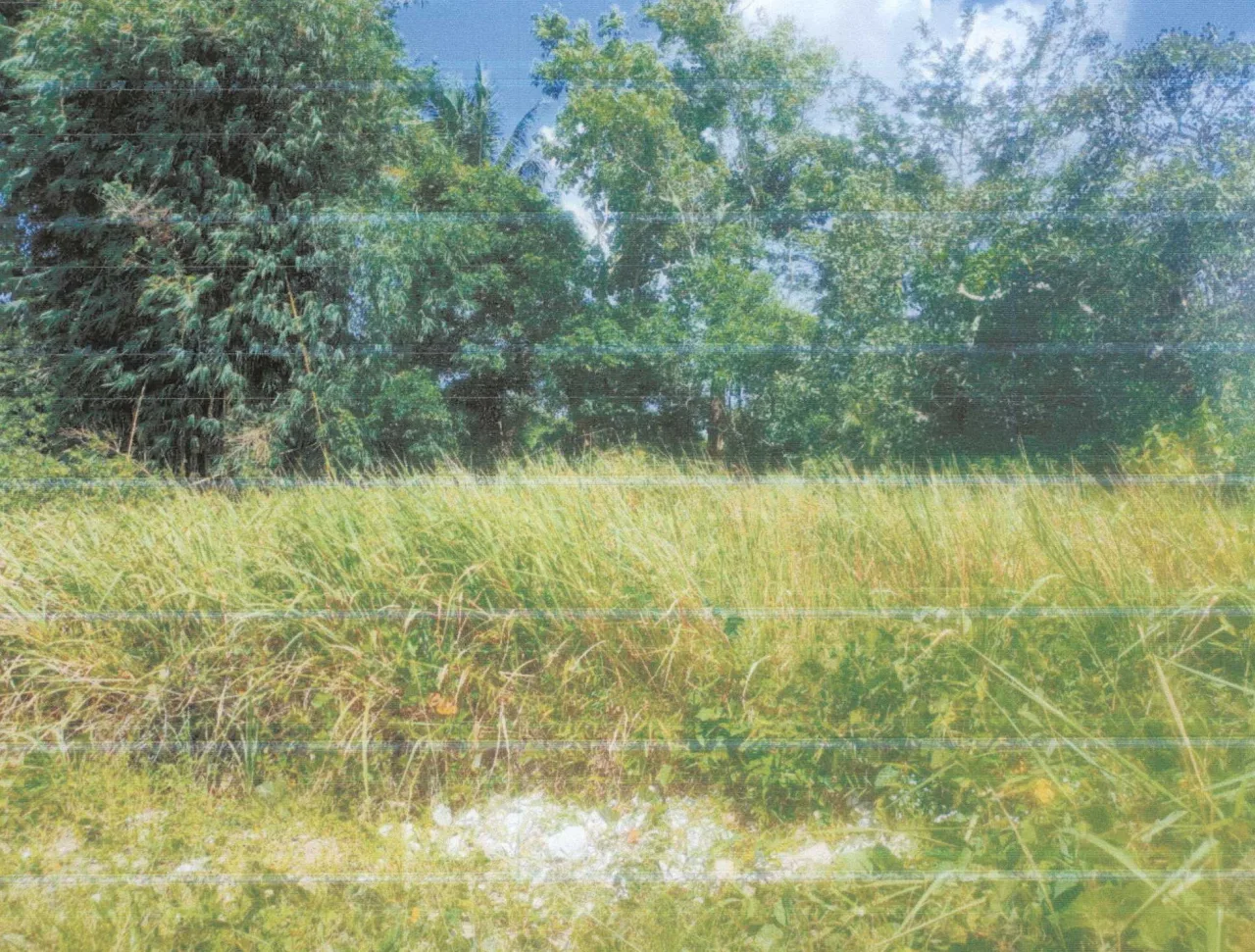 ขายทอดตลาด ที่ดินว่างเปล่า ต.ศรีสุนทร อ.ถลาง จ.ภูเก็ต