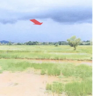 รูปทรัพย์ 1