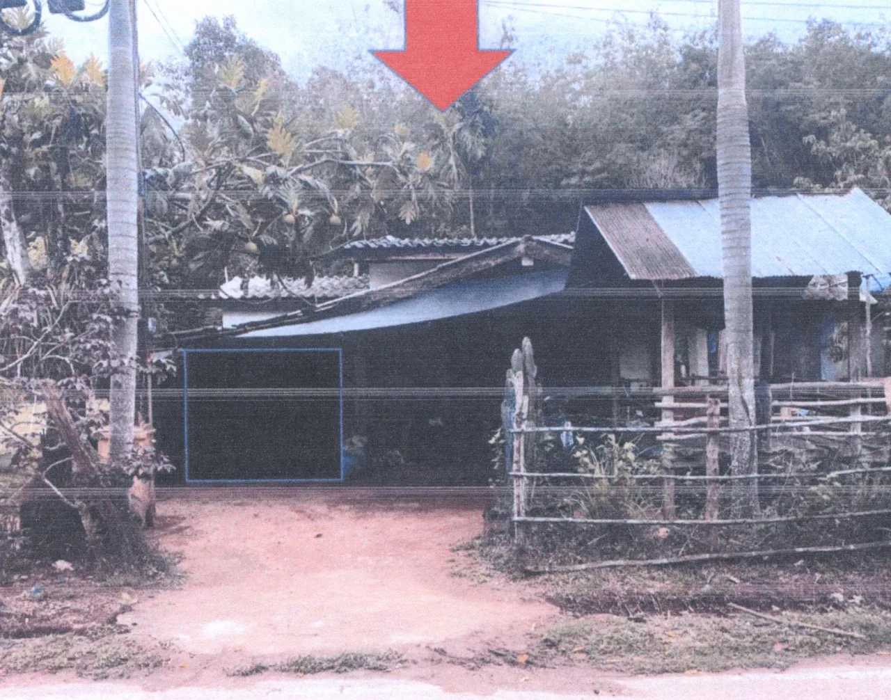 ขายทอดตลาด ที่ดินพร้อมสิ่งปลูกสร้าง ต.อาซ่อง อ.รามัน จ.ยะลา