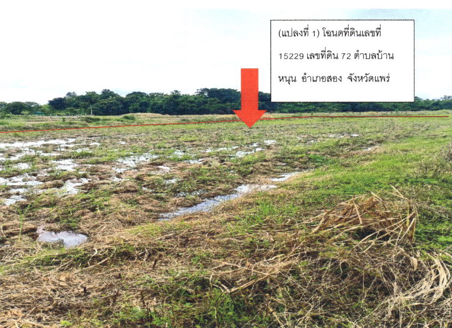 ขายทอดตลาด ที่ดินว่างเปล่า ต.บ้านหนุน อ.สอง จ.แพร่