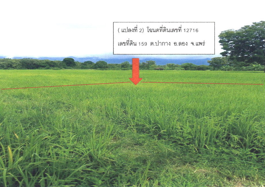 ขายทอดตลาด ที่ดินว่างเปล่า ต.ปากกาง อ.ลอง จ.แพร่