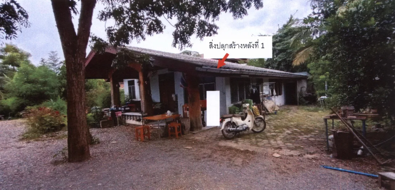 ขายทอดตลาด ที่ดินพร้อมสิ่งปลูกสร้าง ต.เวียงทอง อ.สูงเม่น จ.แพร่