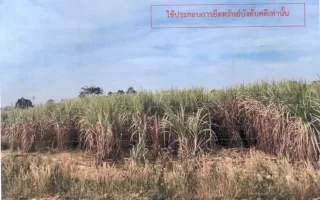 รูปทรัพย์ 1