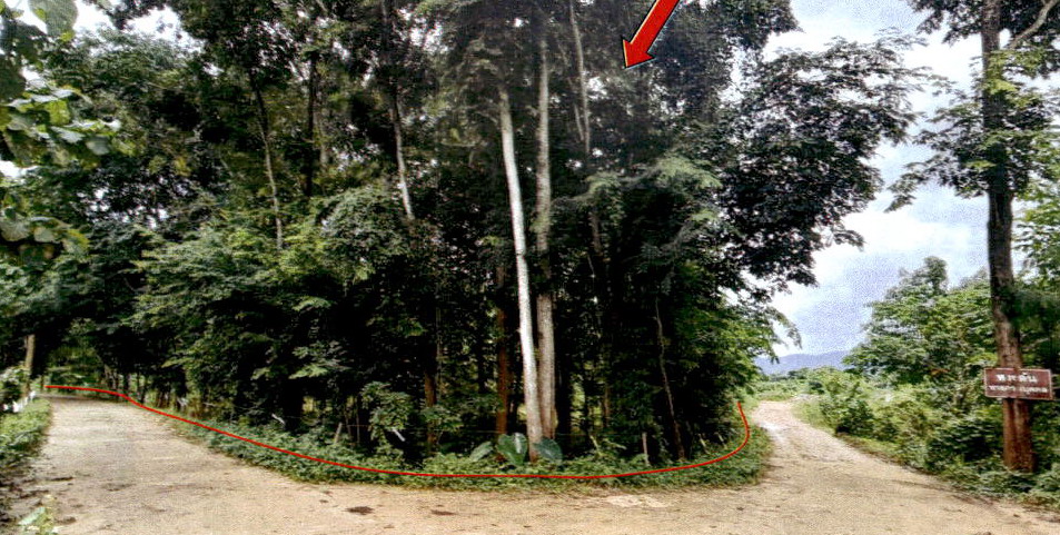 ขายทอดตลาด ที่ดินว่างเปล่า ต.แม่ยม อ.เมืองแพร่ จ.แพร่