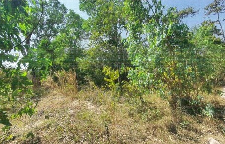 ขายทอดตลาด ที่ดินว่างเปล่า ต.อีง่อง อ.จตุรพักตรพิมาน จ.ร้อยเอ็ด