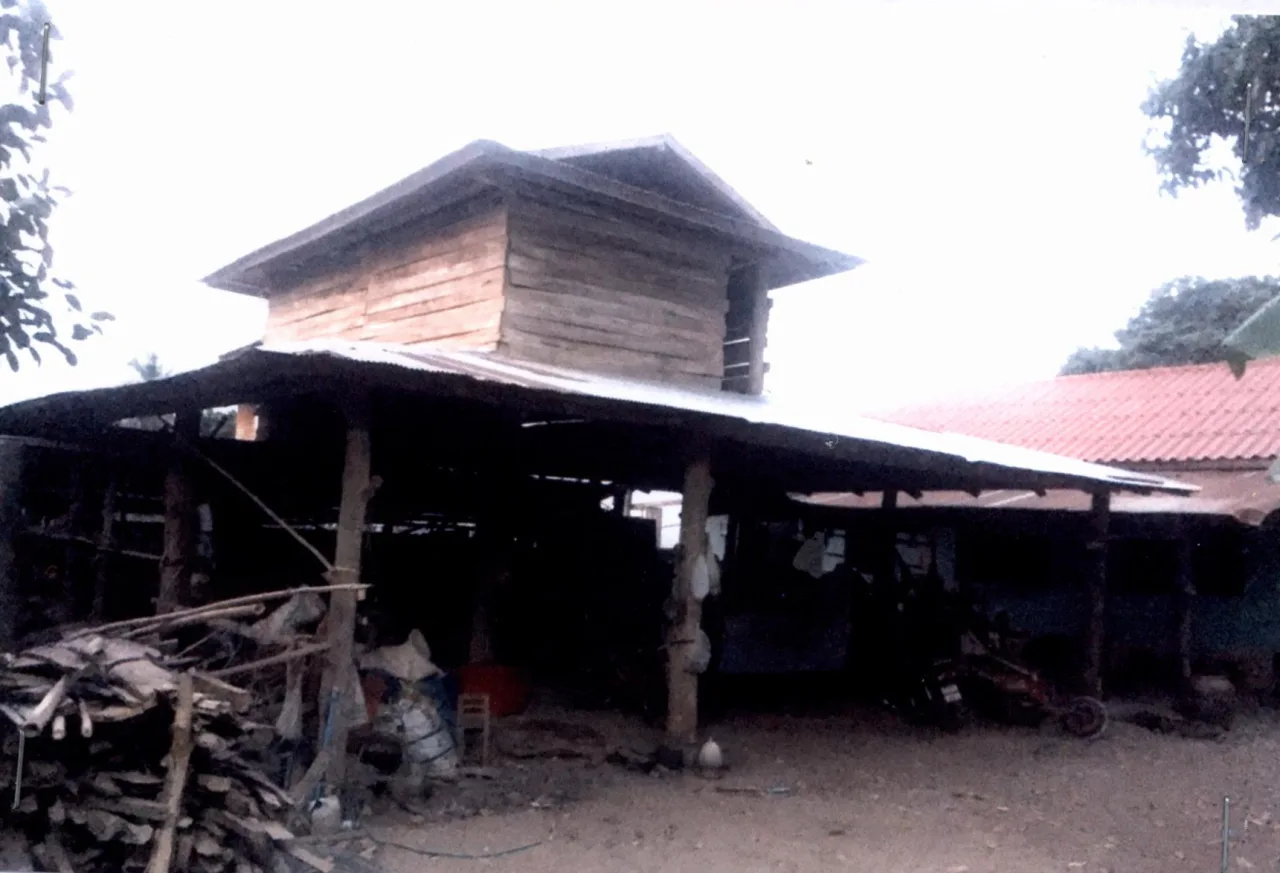 ขายทอดตลาด ที่ดินพร้อมสิ่งปลูกสร้าง ต.วังหลวง อ.หนองม่วงไข่ จ.แพร่