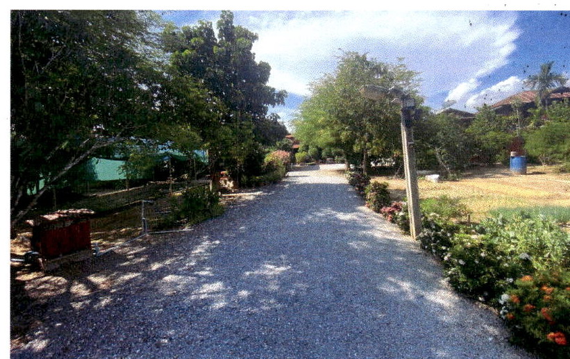 ขายทอดตลาด ที่ดินพร้อมสิ่งปลูกสร้าง ต.บ้านกลาง อ.สอง จ.แพร่