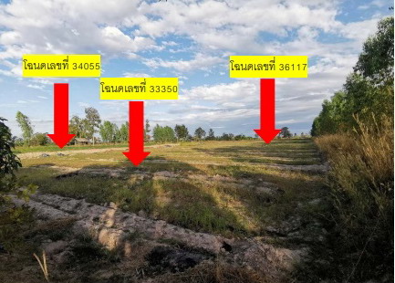 ขายทอดตลาด ที่ดินว่างเปล่า ต.หนองแวง อ.สมเด็จ จ.กาฬสินธุ์