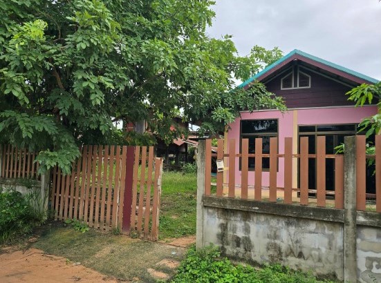 ขายทอดตลาด ที่ดินพร้อมสิ่งปลูกสร้าง ต.ขั้นไดใหญ่ อ.เมืองยโสธร จ.ยโสธร