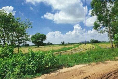 ขายทอดตลาด ที่ดินว่างเปล่า ต.บ้านเขือง อ.เชียงขวัญ จ.ร้อยเอ็ด