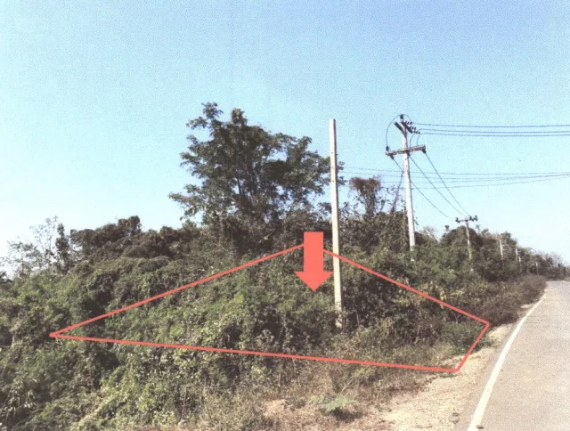 ขายทอดตลาด ที่ดินว่างเปล่า ต.บ้านถิ่น อ.เมืองแพร่ จ.แพร่