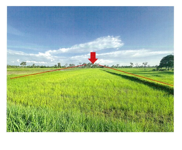 ขายทอดตลาด ที่ดินว่างเปล่า ต.ดู่ทุ่ง อ.เมืองยโสธร จ.ยโสธร