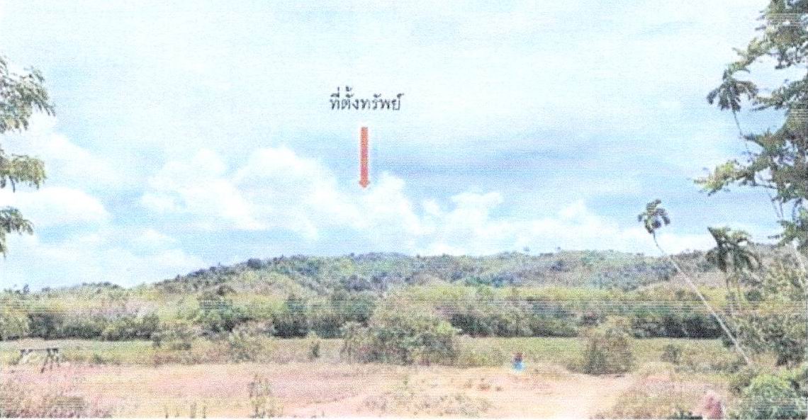 ขายทอดตลาด ที่ดินว่างเปล่า ต.ละแอ อ.ยะหา จ.ยะลา