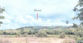 รูปทรัพย์ 1