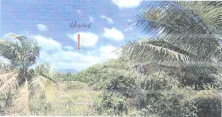 รูปทรัพย์ 3