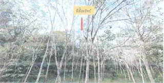 รูปทรัพย์ 4