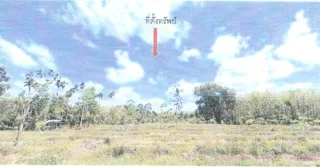 รูปทรัพย์ 6