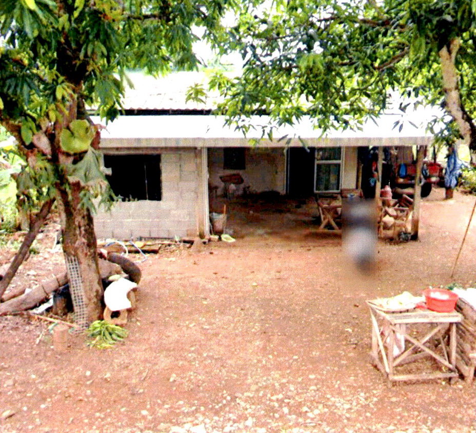 ขายทอดตลาด ที่ดินพร้อมสิ่งปลูกสร้าง ต.ไทรย้อย อ.เด่นชัย จ.แพร่