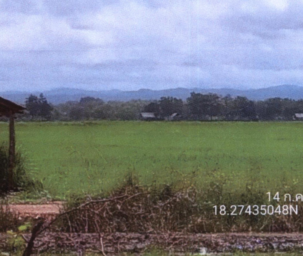 ขายทอดตลาด ที่ดินว่างเปล่า ต.วังหลวง อ.หนองม่วงไข่ จ.แพร่