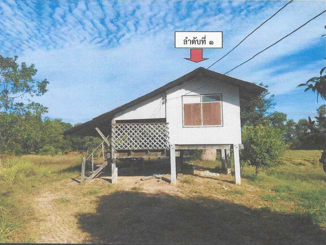 ขายทอดตลาด ที่ดินพร้อมสิ่งปลูกสร้าง ต.บากเรือ อ.มหาชนะชัย จ.ยโสธร
