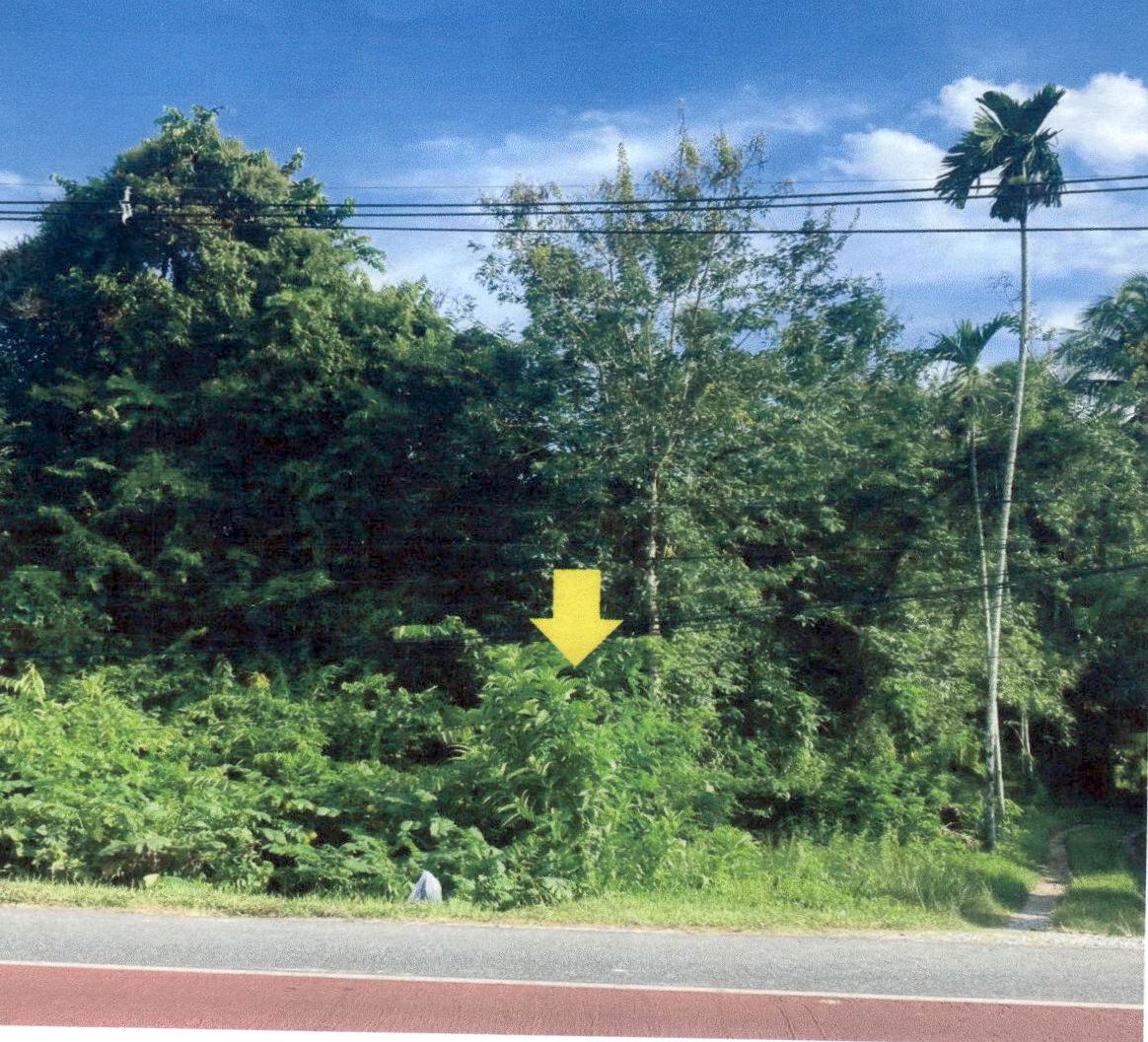 ขายทอดตลาด ที่ดินว่างเปล่า ต.กาลูปัง อ.รามัน จ.ยะลา