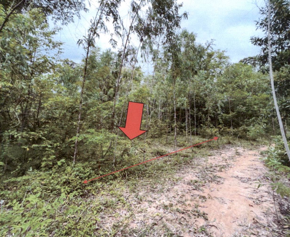 ขายทอดตลาด ที่ดินว่างเปล่า ต.หนองไผ่ อ.ธวัชบุรี จ.ร้อยเอ็ด