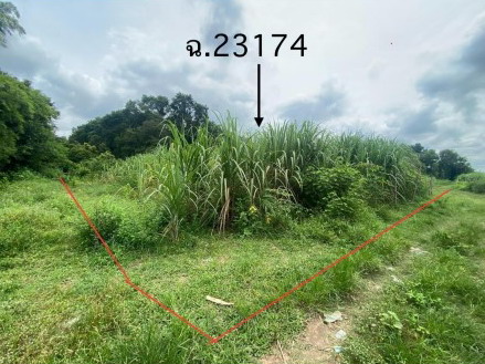 ขายทอดตลาด ที่ดินว่างเปล่า ต.พิมูล อ.ห้วยเม็ก จ.กาฬสินธุ์