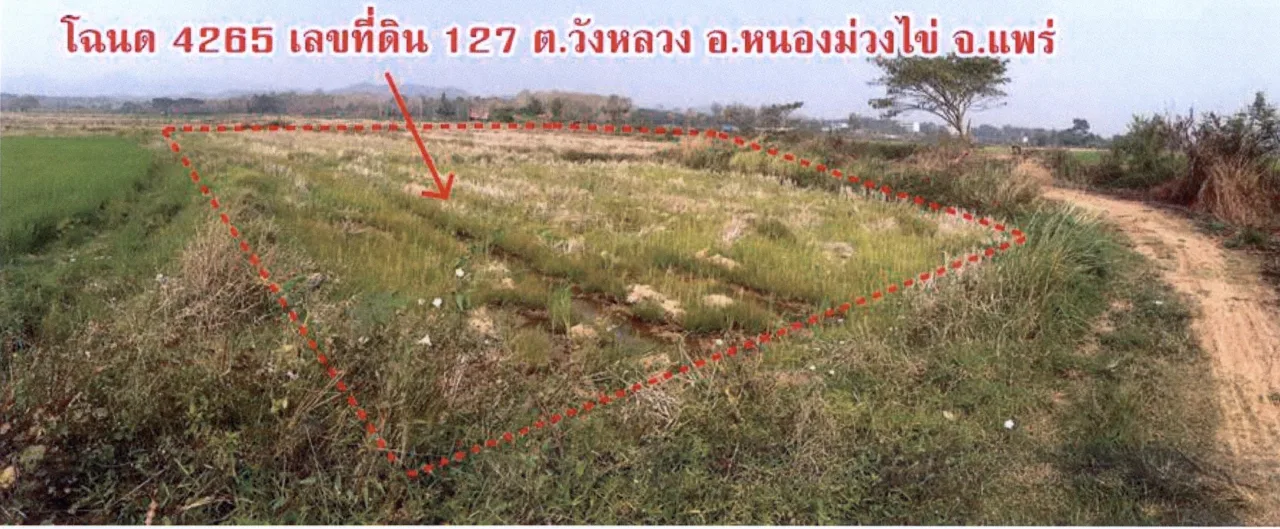 ขายทอดตลาด ที่ดินว่างเปล่า ต.วังหลวง อ.หนองม่วงไข่ จ.แพร่