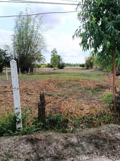 ขายทอดตลาด ที่ดินว่างเปล่า ต.นามน อ.นามน จ.กาฬสินธุ์