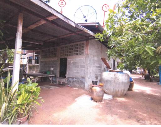 ขายทอดตลาด ที่ดินพร้อมสิ่งปลูกสร้าง ต.เมืองบัว อ.เกษตรวิสัย จ.ร้อยเอ็ด