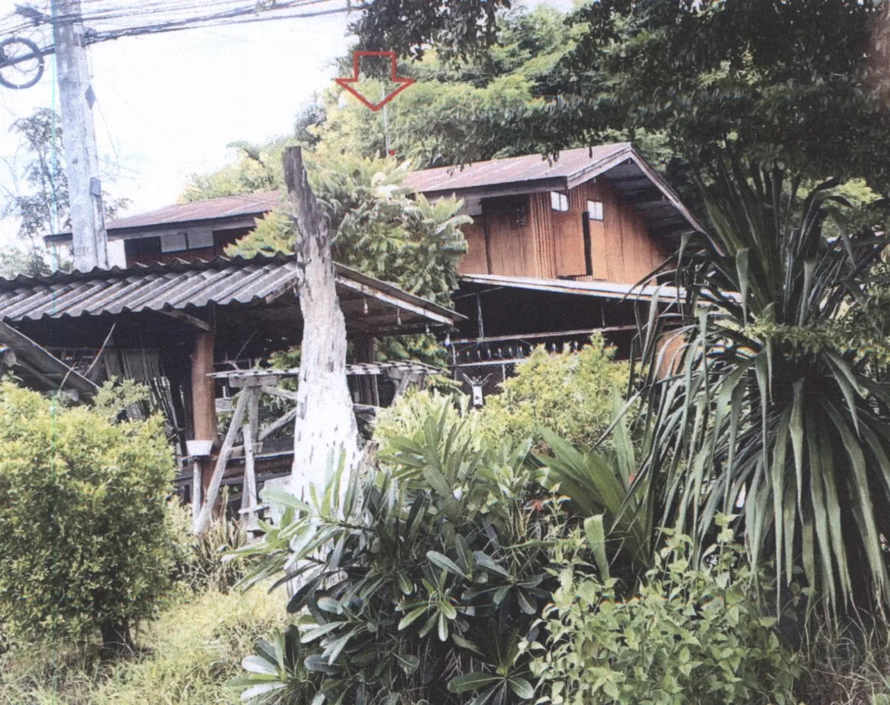 ขายทอดตลาด ที่ดินพร้อมสิ่งปลูกสร้าง ต.ทุ่งศรี อ.ร้องกวาง จ.แพร่