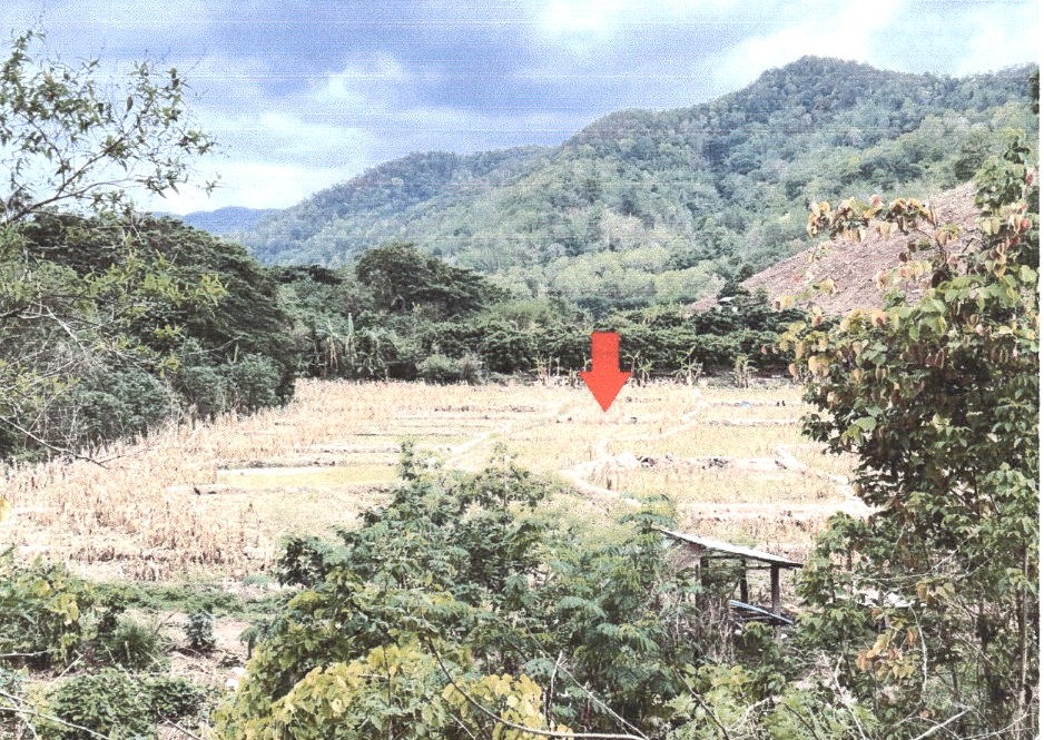 ขายทอดตลาด ที่ดินว่างเปล่า ต.สะเอียบ อ.สอง จ.แพร่