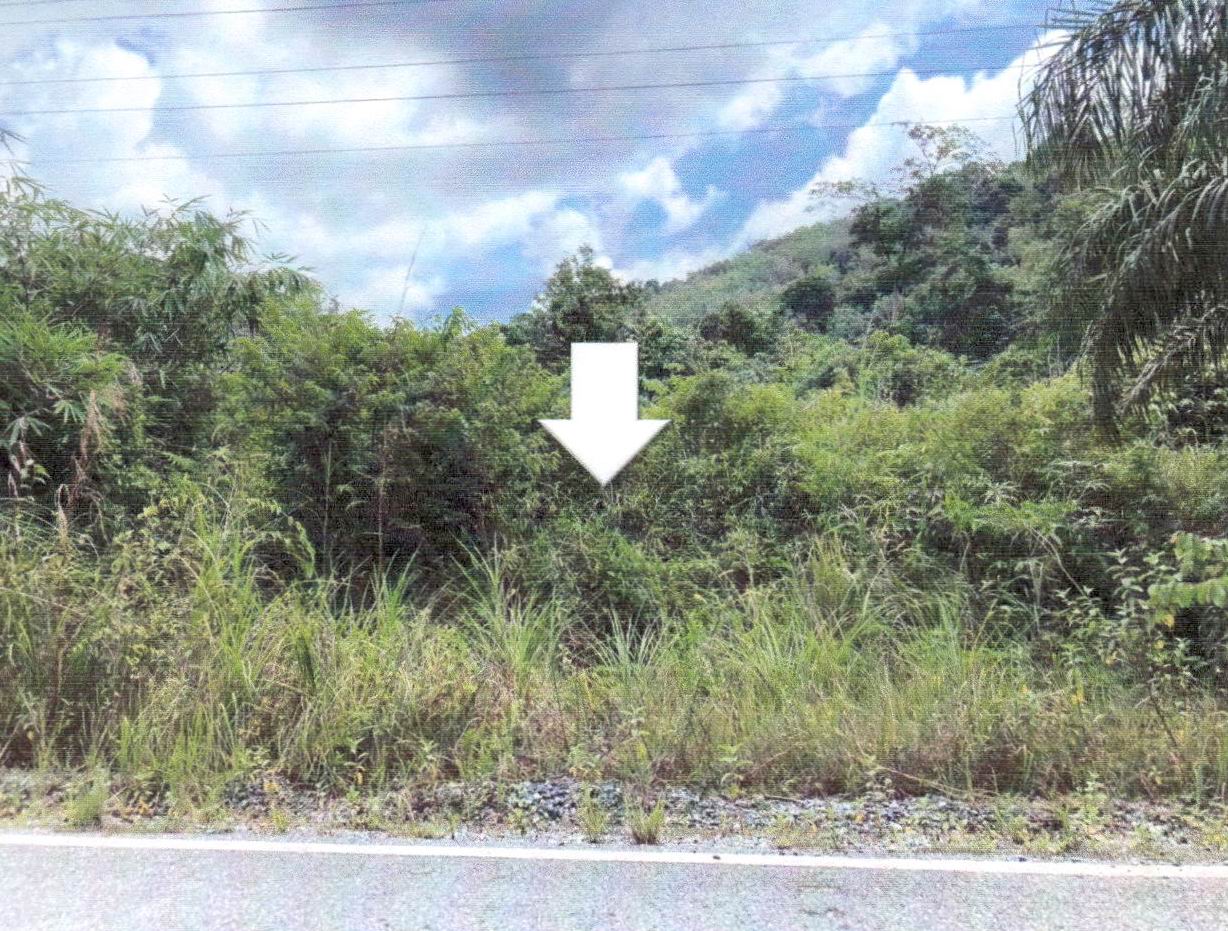 ขายทอดตลาด ที่ดินว่างเปล่า ต.กอตอตือร๊ะ อ.รามัน จ.ยะลา