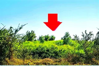 รูปทรัพย์ 1