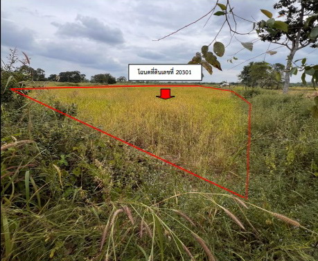 ขายทอดตลาด ที่ดินว่างเปล่า ต.ภูแล่นช้าง อ.นาคู จ.กาฬสินธุ์