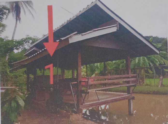 ขายทอดตลาด ที่ดินพร้อมสิ่งปลูกสร้าง ต.ผาบ่อง อ.เมืองแม่ฮ่องสอน จ.แม่ฮ่องสอน