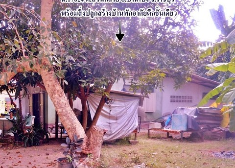 ขายทอดตลาด ที่ดินพร้อมสิ่งปลูกสร้าง ต.สวนกล้วย อ.บ้านโป่ง จ.ราชบุรี