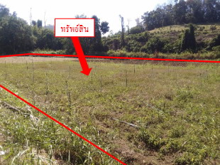 รูปทรัพย์ 2