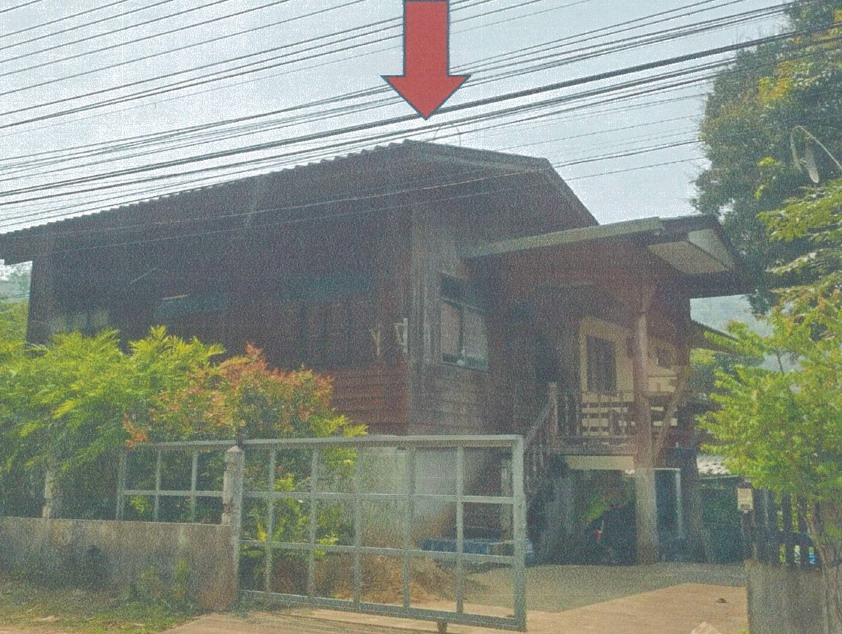ขายทอดตลาด ที่ดินพร้อมสิ่งปลูกสร้าง ต.ผาบ่อง อ.เมืองแม่ฮ่องสอน จ.แม่ฮ่องสอน