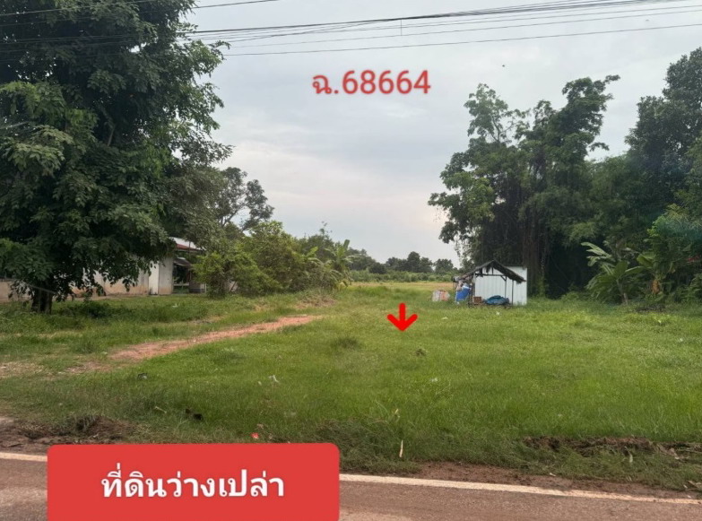 ขายทอดตลาด ที่ดินว่างเปล่า ต.นาเชือก อ.ยางตลาด จ.กาฬสินธุ์